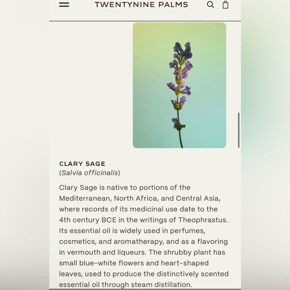 29 Palms | Desert Tumbleweed Shampoo - Picture 8 of 10